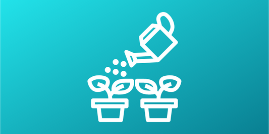 10 Indoor Gardening Nature Activities