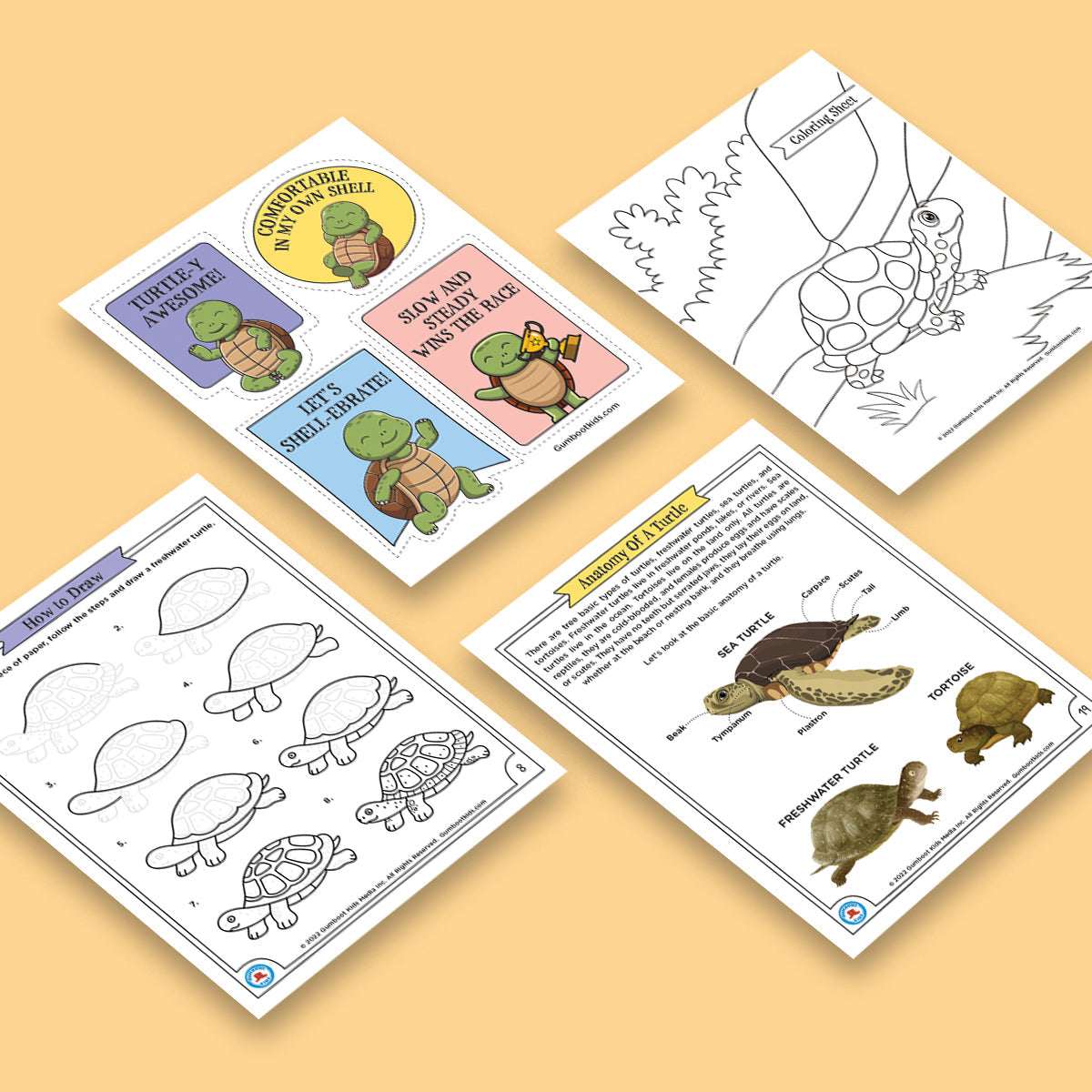 Nature, Gratitude, Mindset - Turtle Activity Pack (Ages 4+) 🍁