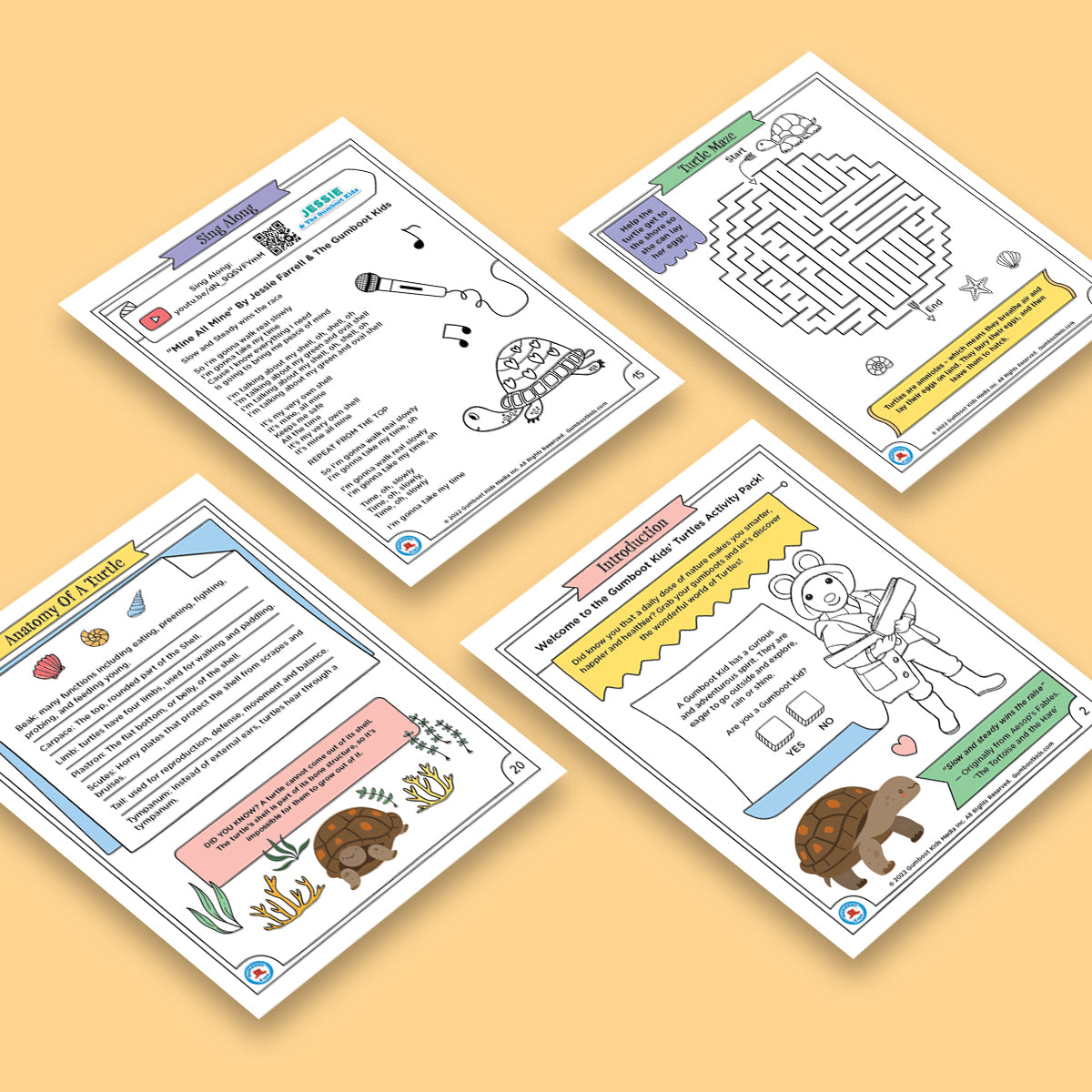 Nature, Gratitude, Mindset - Turtle Activity Pack (Ages 4+)