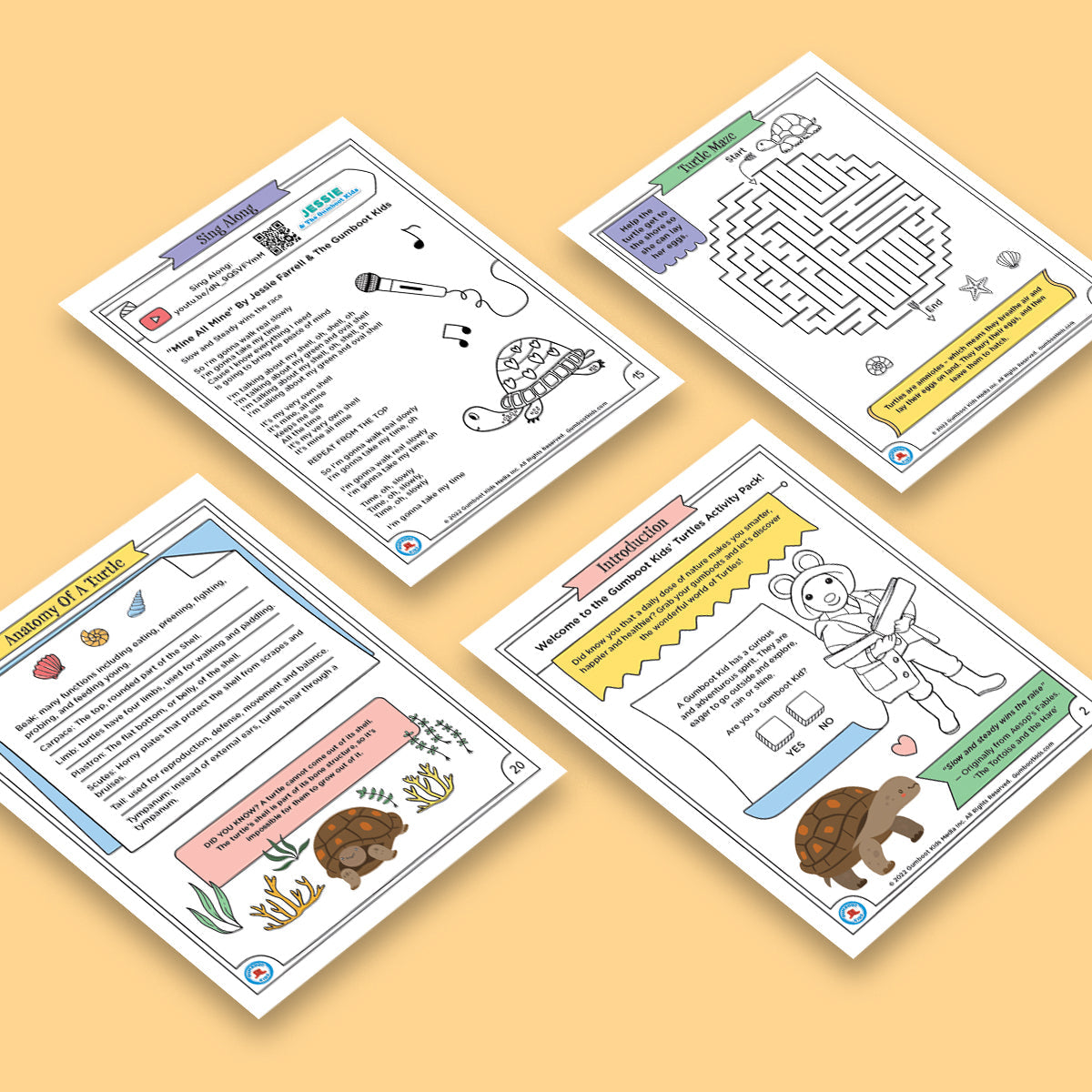 Nature, Gratitude, Mindset - Turtle Activity Pack (Ages 4+) 🍁