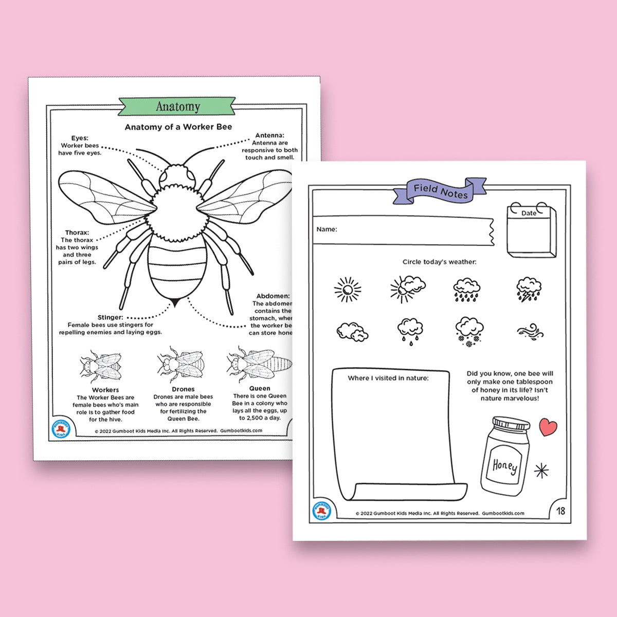 Nature, Gratitude, Mindset - Bees Activity Pack (Ages 4+) 🍁