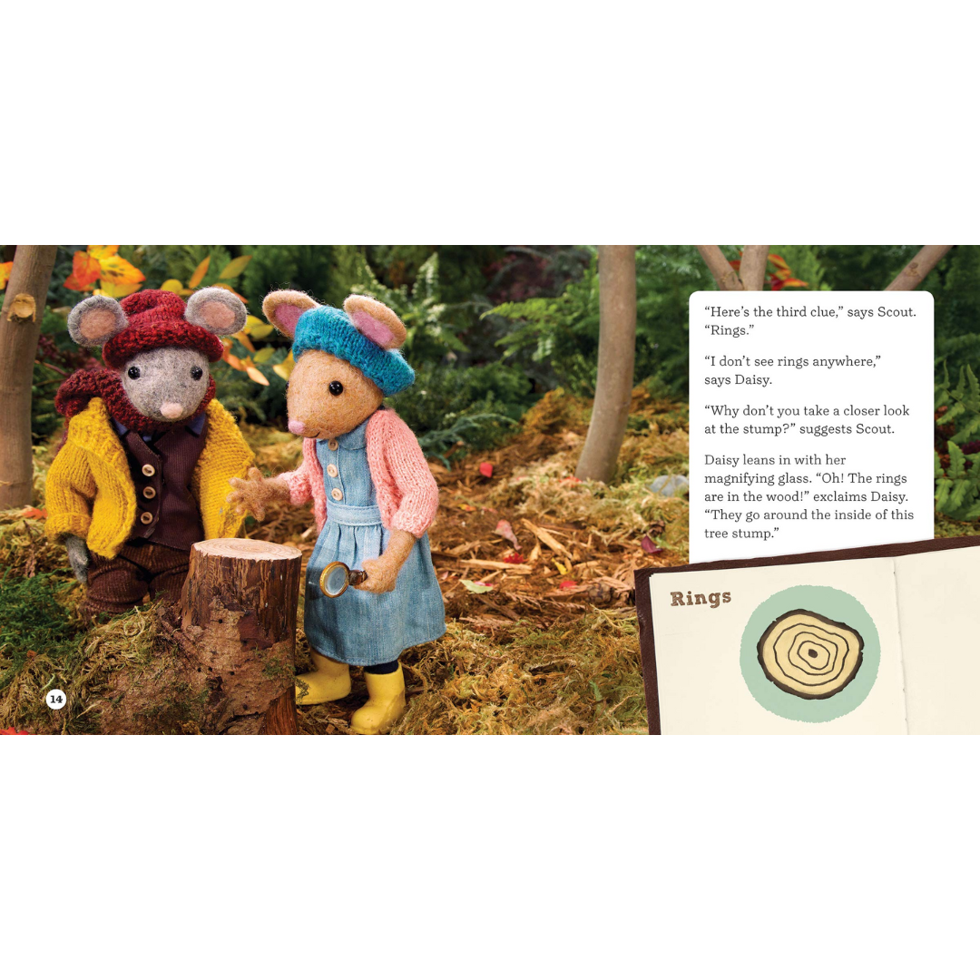 The Case of the Wooden Timekeeper - Kids Book