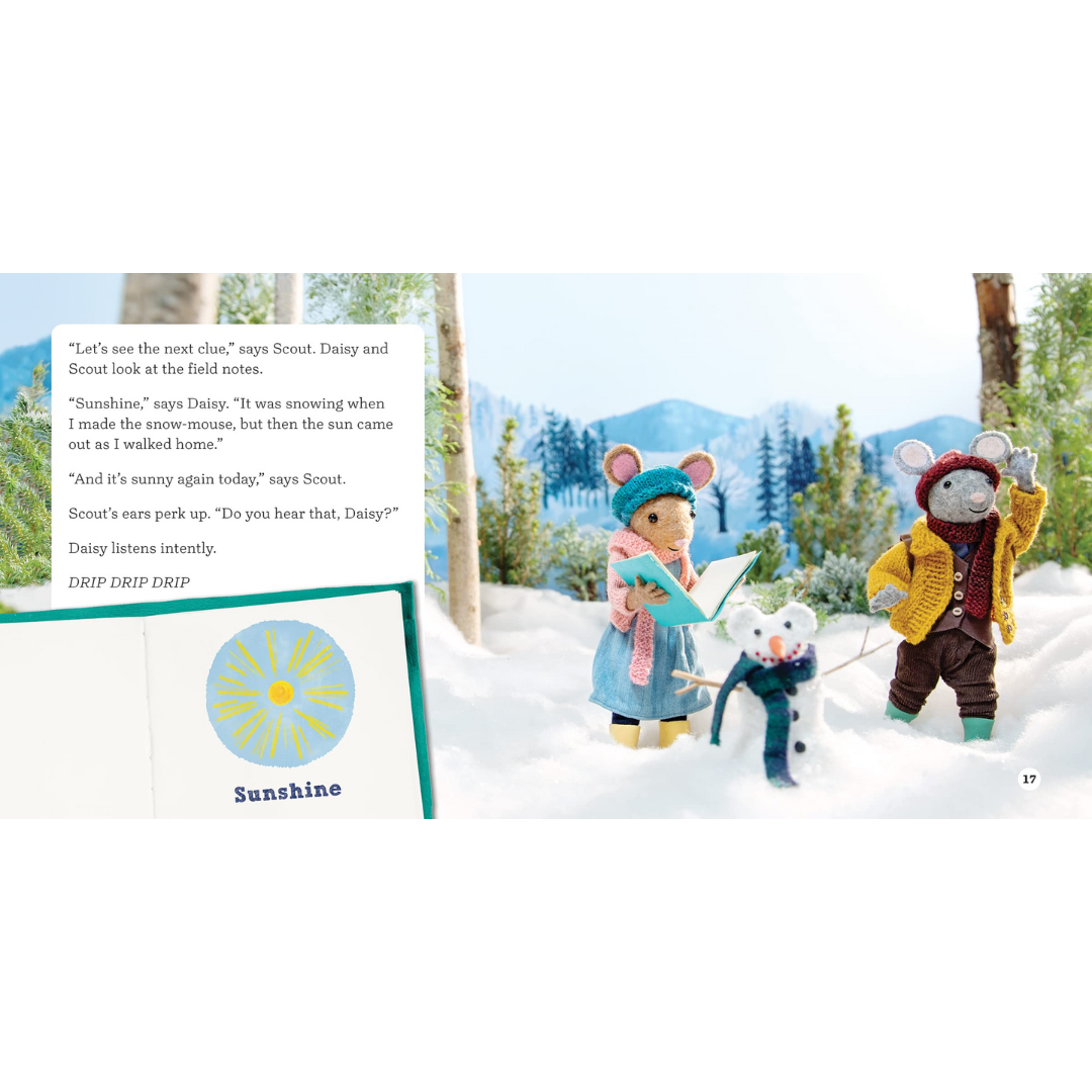 The Case of the Shrinking Friend - Kids Storybook