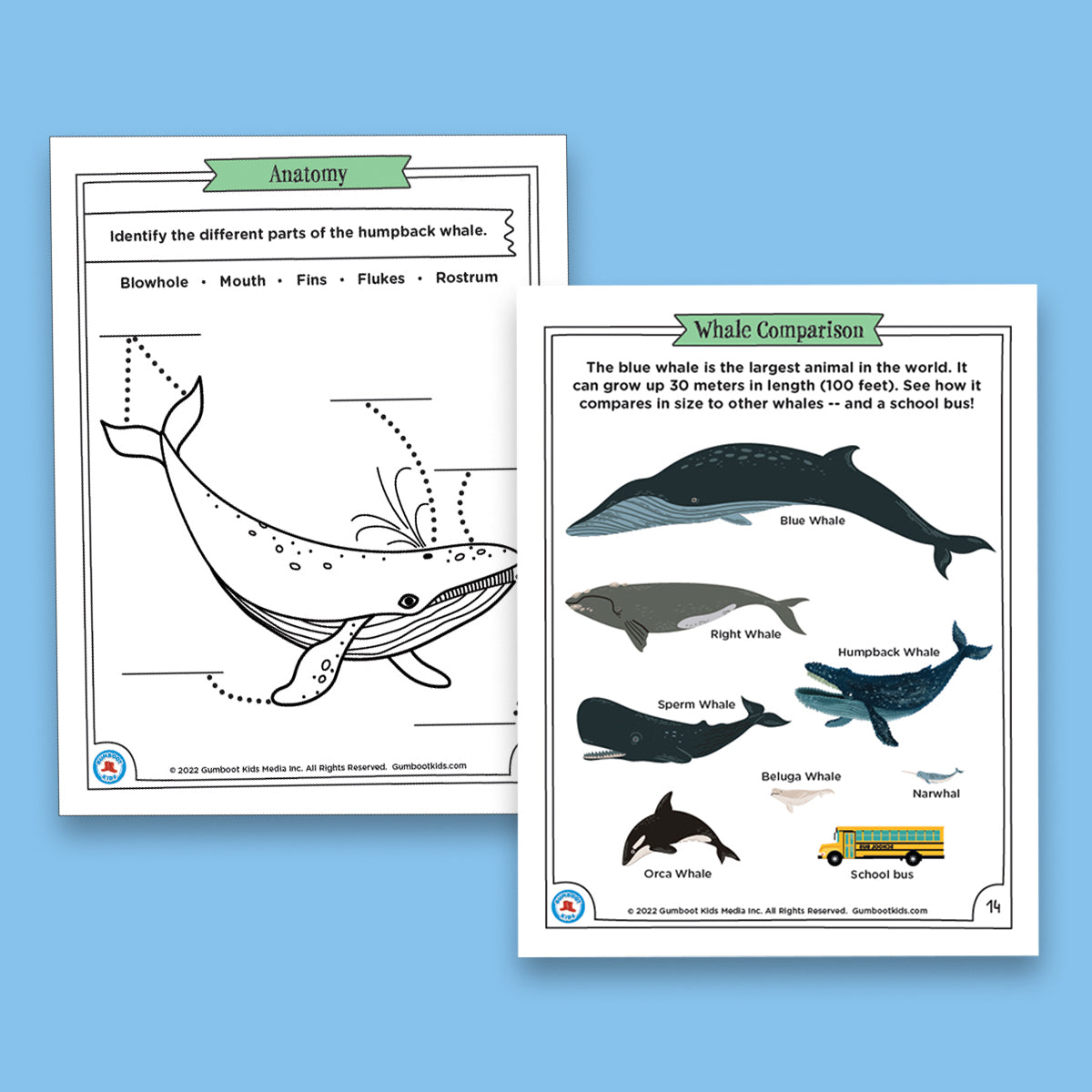 Nature, Gratitude, Mindset - Whales Activity Pack (Ages 4+) 🍁