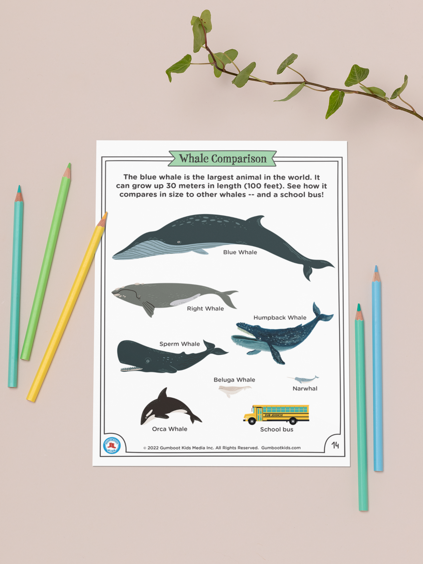 Nature, Gratitude, Mindset - Whales Activity Pack (Ages 4+) 🍁