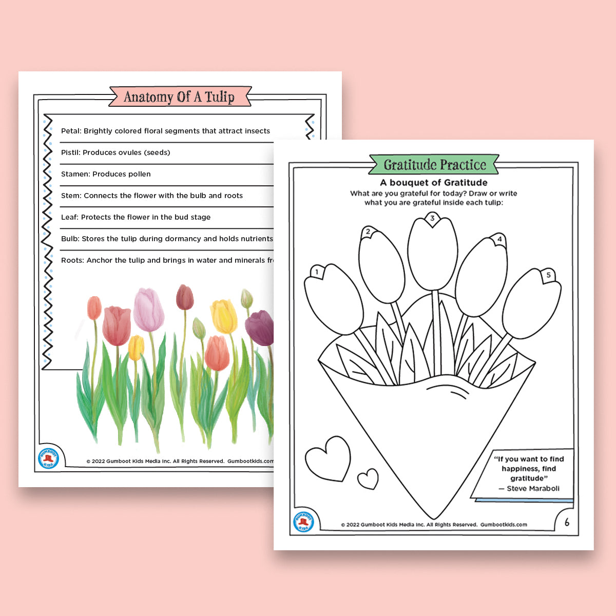 Nature, Gratitude, Mindset - Tulips Activity Pack (Ages 4+) 🍁