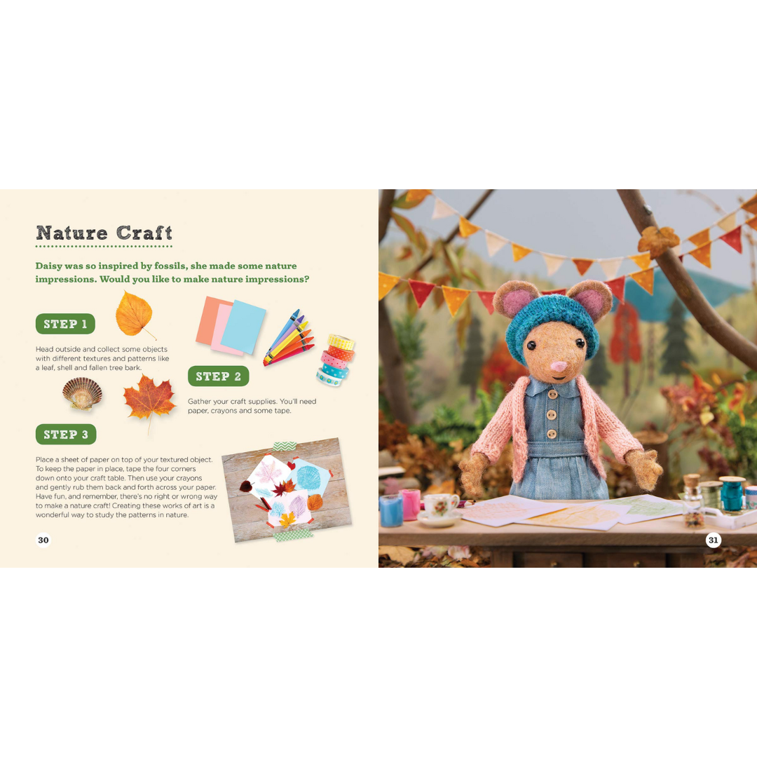 The Case of the Story Rock - Kids Book