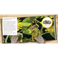 The Case of the Growing Bird Feeder - Kids Book