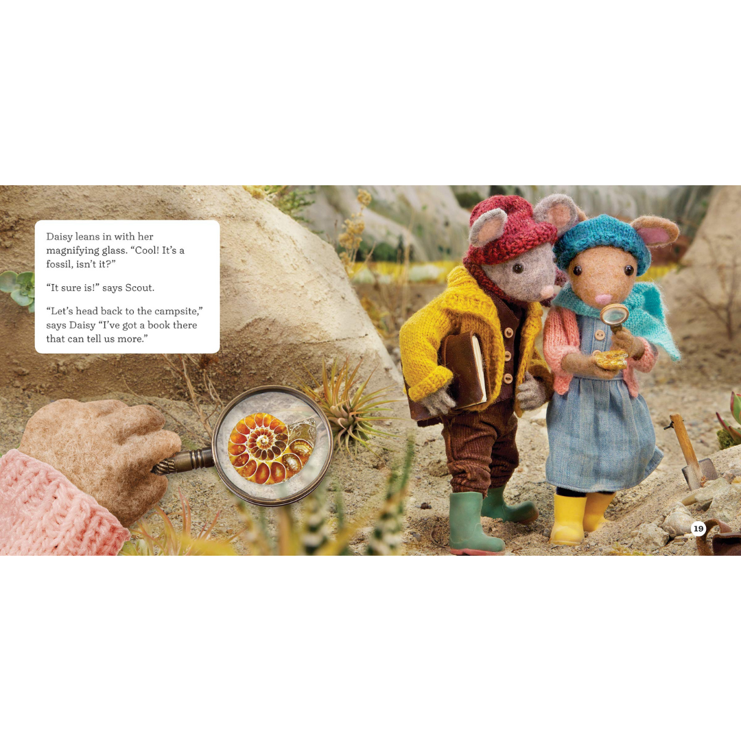 The Case of the Story Rock - Kids Book