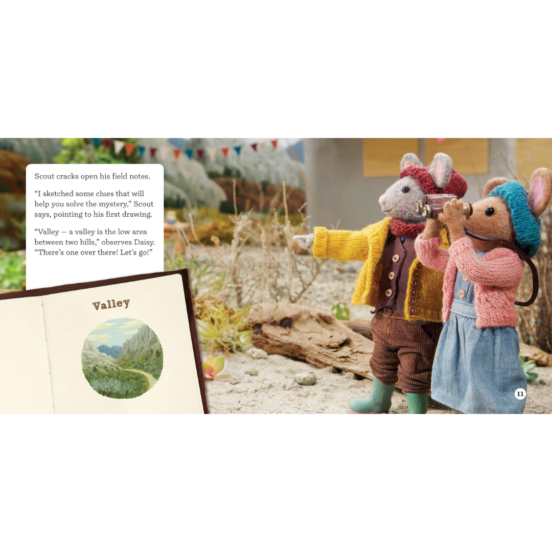 The Case of the Story Rock - Kids Book