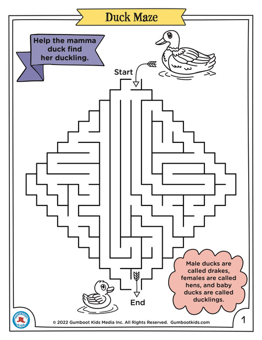 Duck Maze Sheet - Free