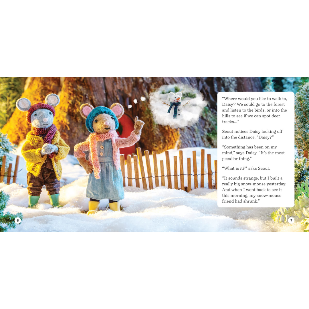 The Case of the Shrinking Friend - Kids Storybook